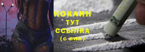 стафф Верхний Тагил