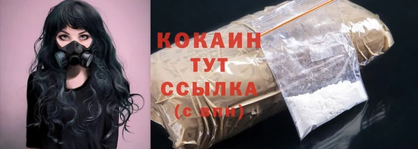 стафф Верхний Тагил
