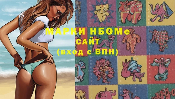 твердый Верея